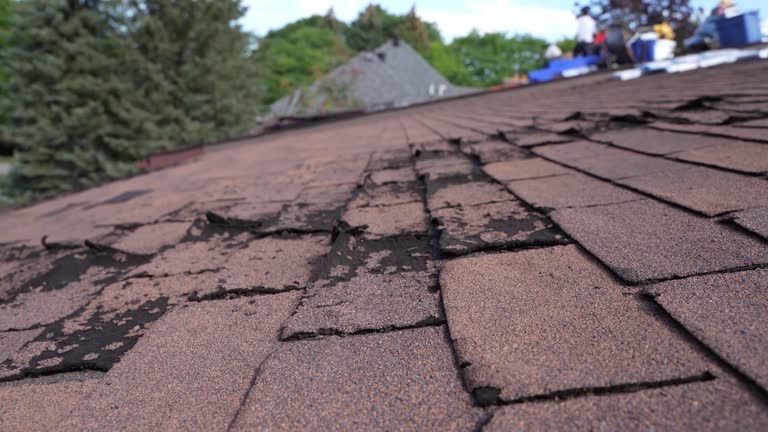 Best Roof Insulation Installation  in Ashland, OR