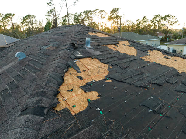 Best Emergency Roof Repair Services  in Ashland, OR
